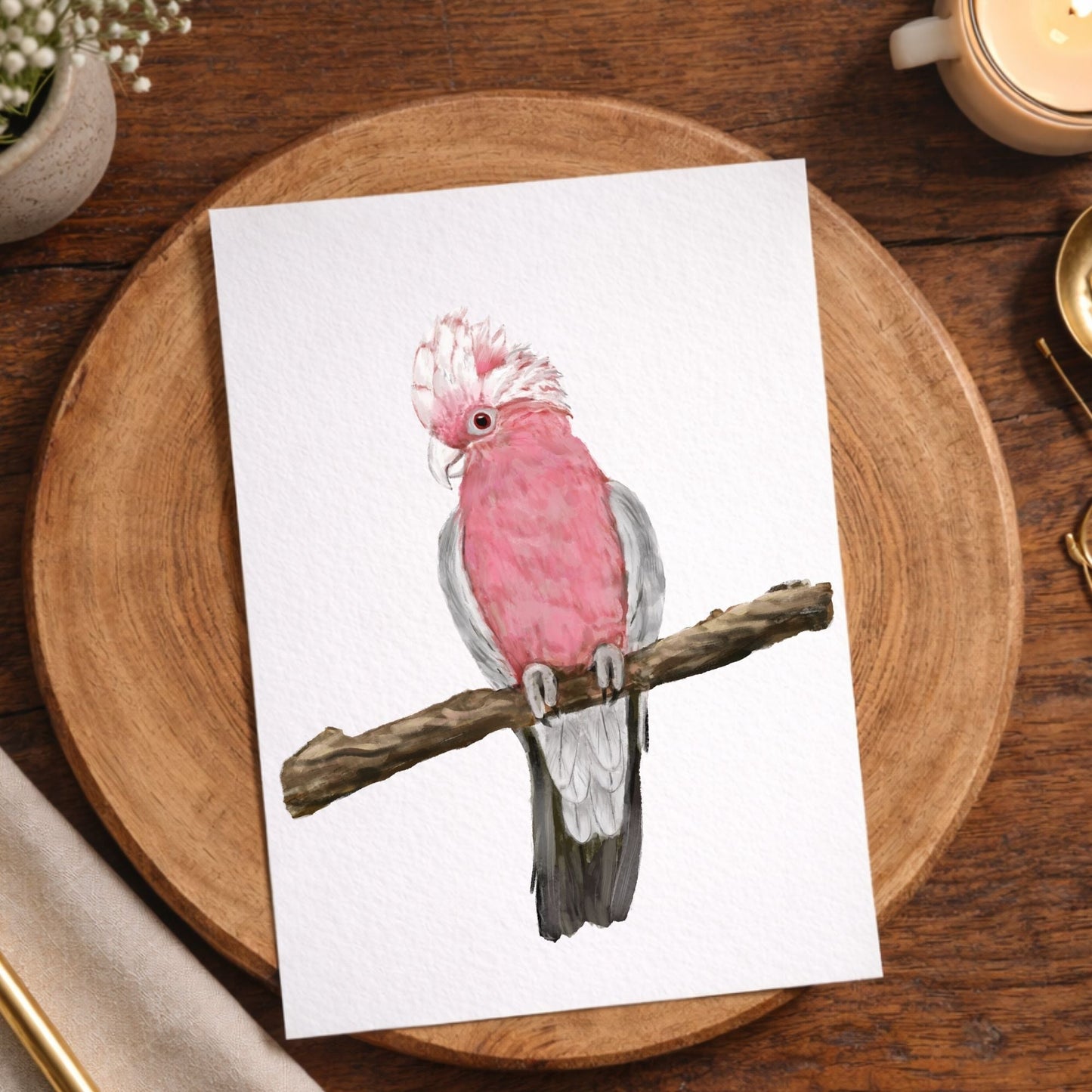 Galah Cockatoo Postcard - MerikaArt