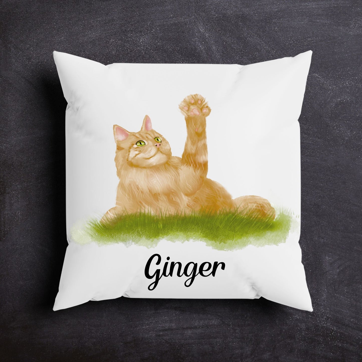 Ginger Cat Pillow - MerikaArt