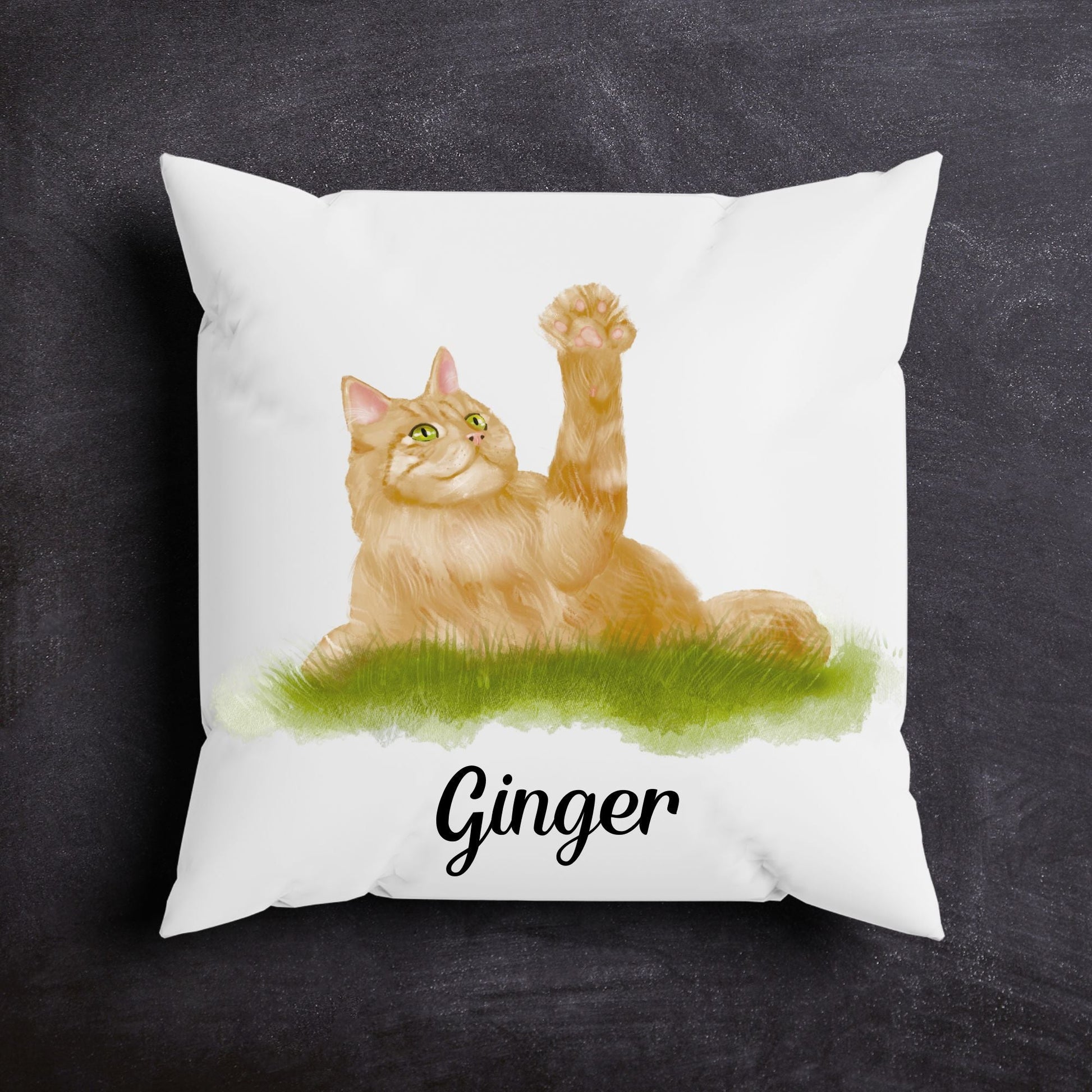 Ginger Cat Pillow - MerikaArt