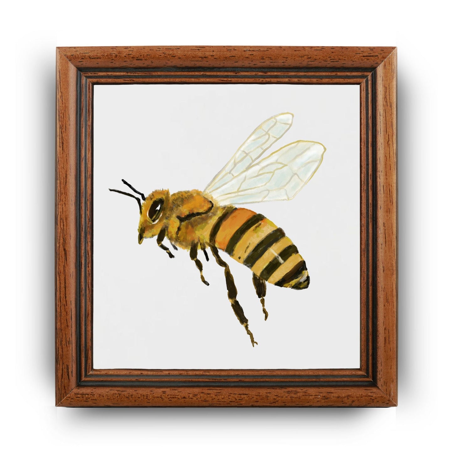 Graceful Honeybee Illustration – Nature - Inspired Artwork - MerikaArt