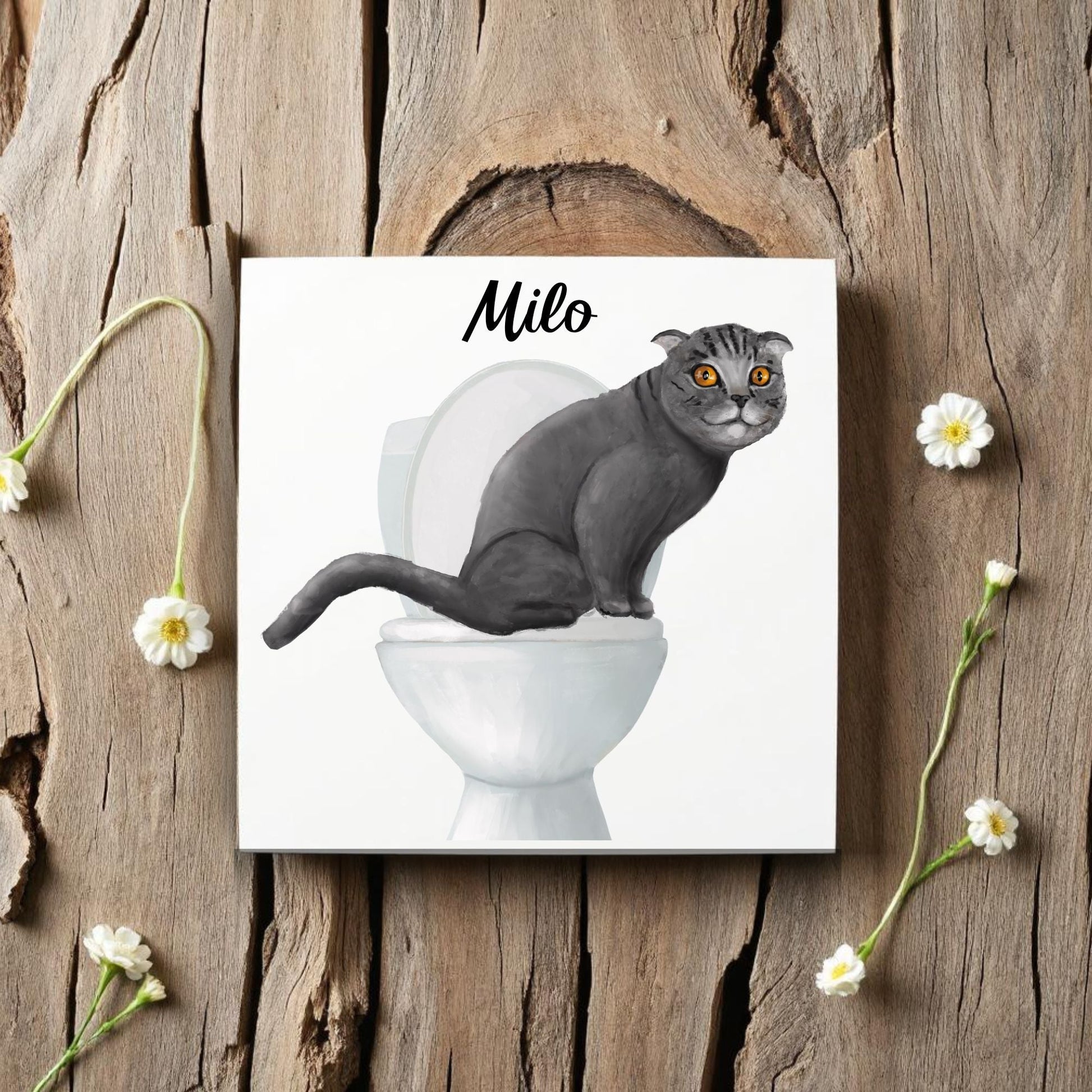 Gray Scottish Fold Bathroom Ceramic Tile - MerikaArt