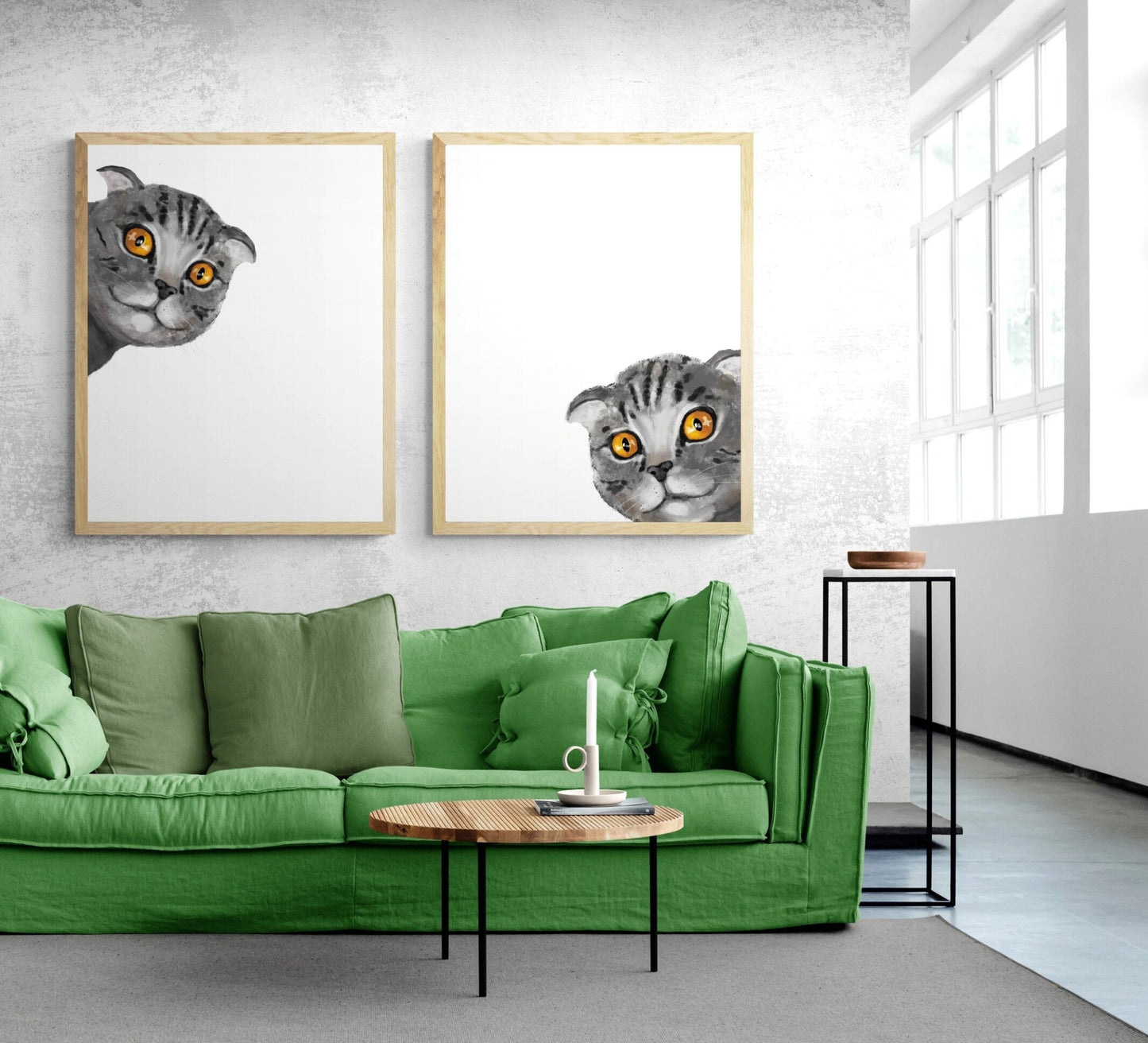 Gray Scottish Fold Peekaboo Cat Set of 2 Print - MerikaArt