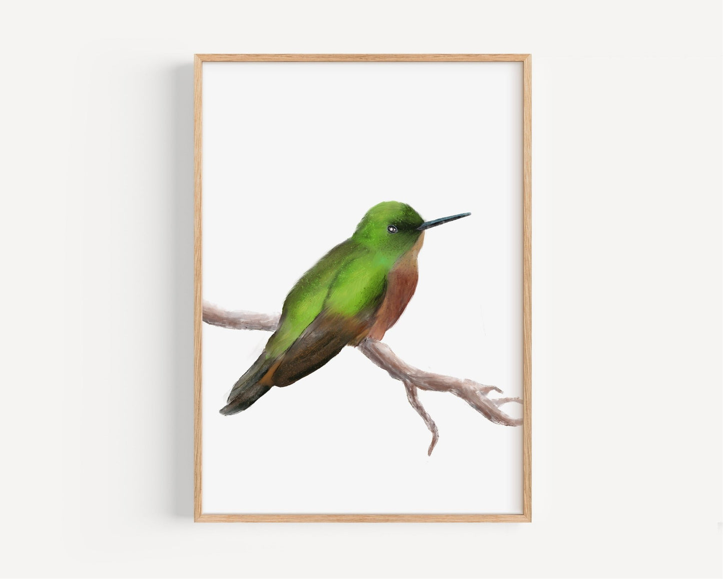 Green and Brown Hummingbird Art Print – Nature - Inspired Bird Decor - MerikaArt
