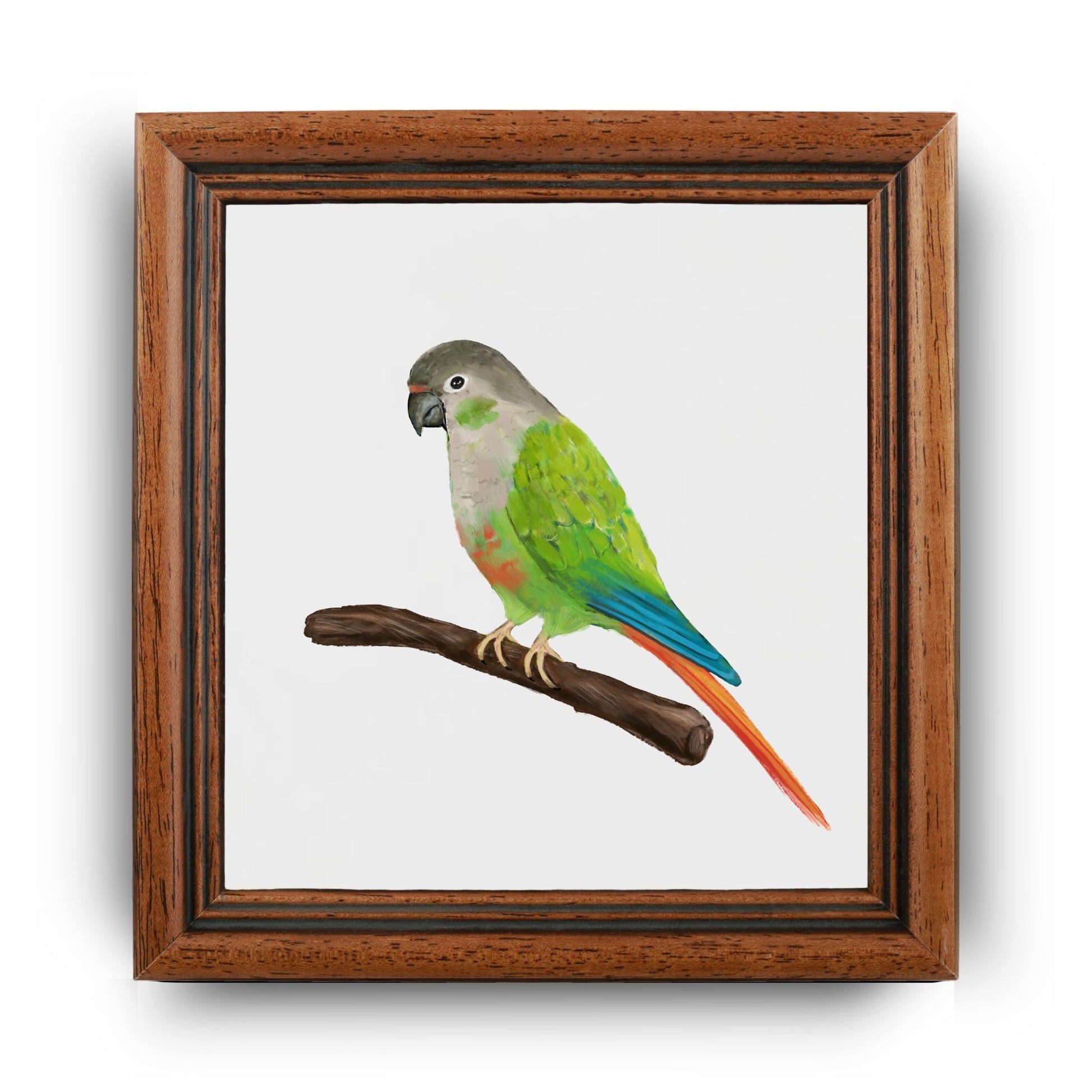Green - Cheeked Conure Ceramic Tile – Handcrafted Bird Lover Artwork - MerikaArt
