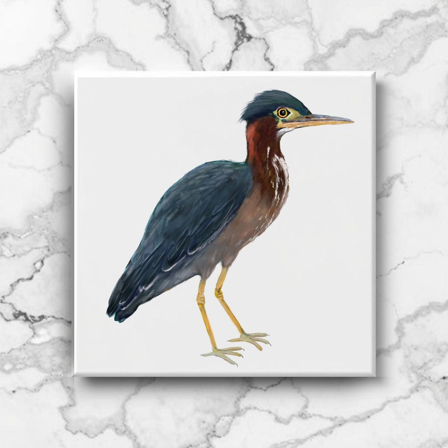 Green Heron Ceramic Tile - MerikaArt