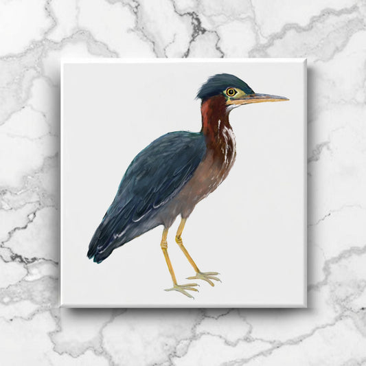 Green Heron Ceramic Tile - MerikaArt
