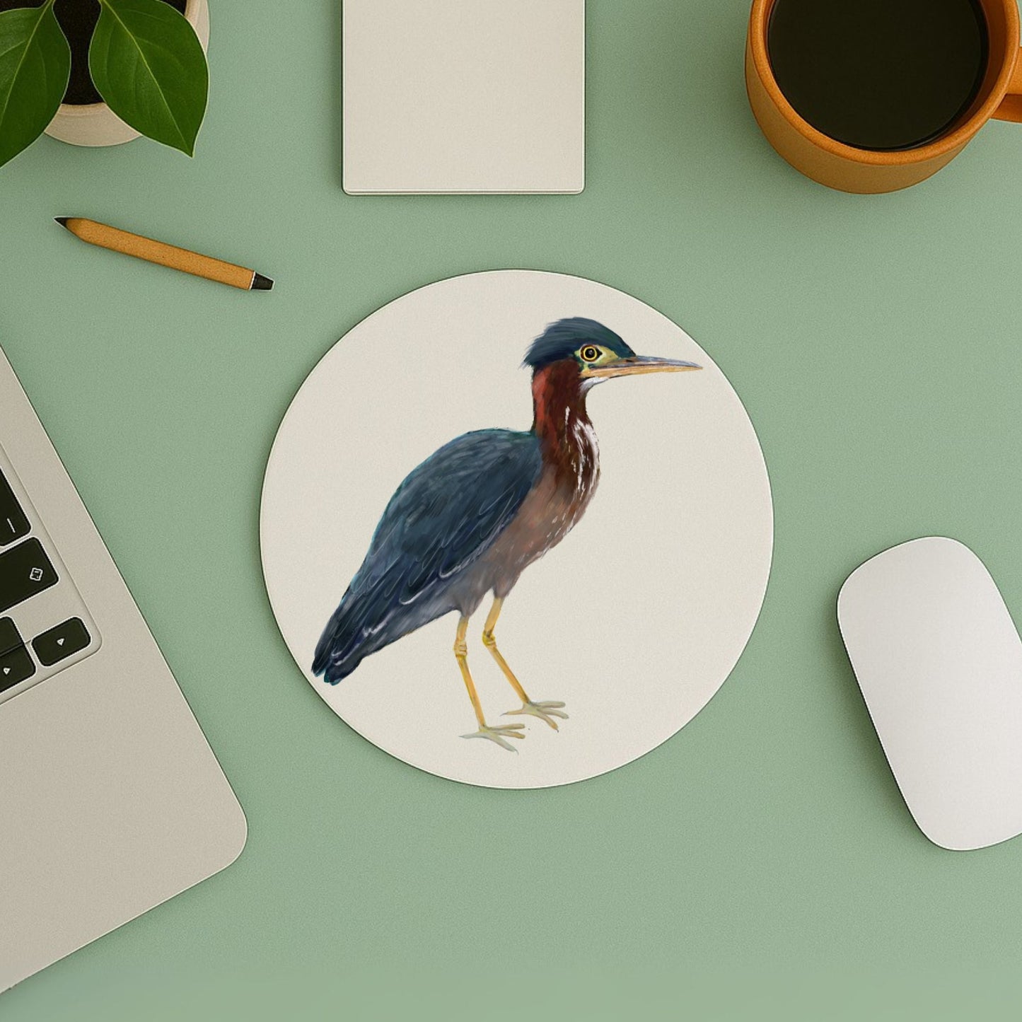 Green Heron Mousepad - MerikaArt