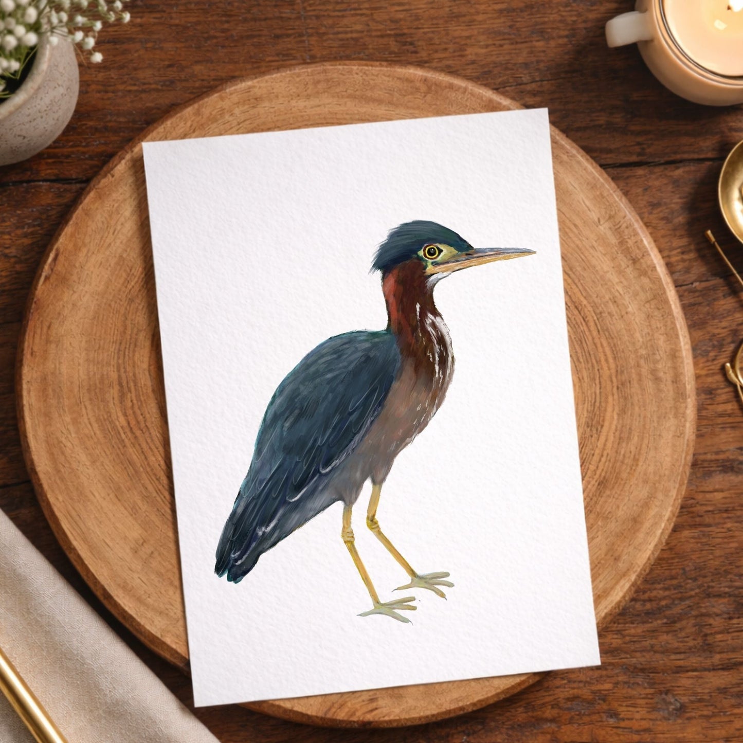 Green Heron Postcard - MerikaArt
