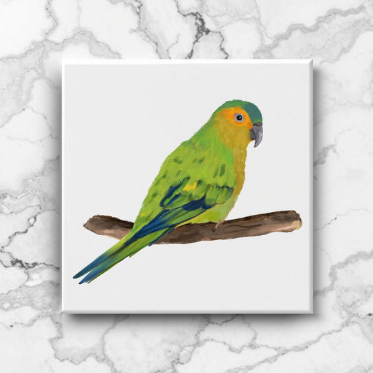Green Parrot Ceramic Tile - MerikaArt