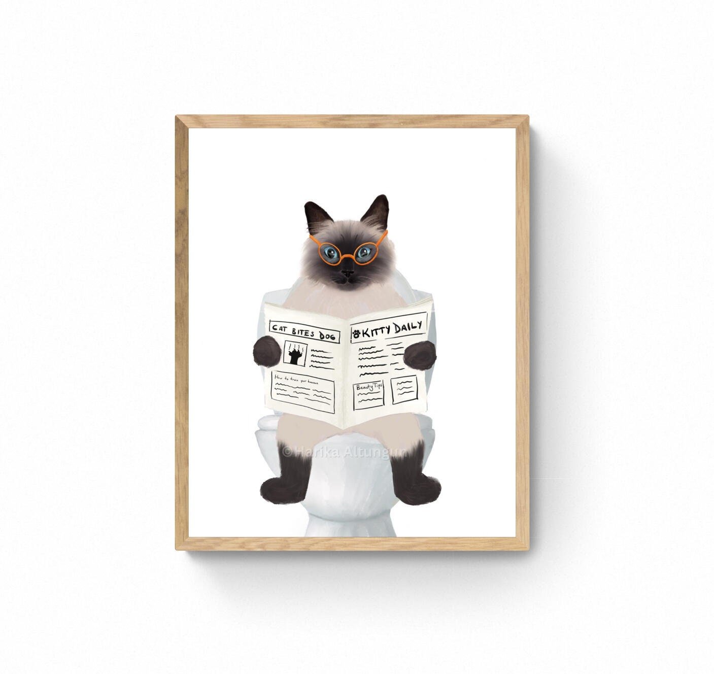 Himalayan Cat Bathroom Art Set of 3, Bathroom Wall Decor, Cute Himalayan Cat In Bath Art, Cat On Toilet Print, Cat Lover Gift, Cat Spa Day - MerikaArt