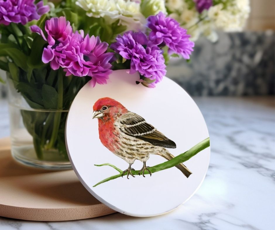 House Finch Ceramic Coaster - MerikaArt