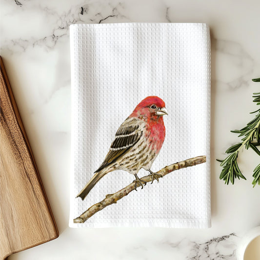 House Finch Kitchen Towel - MerikaArt