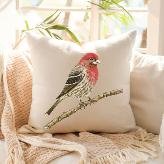 House Finch Pillow - MerikaArt