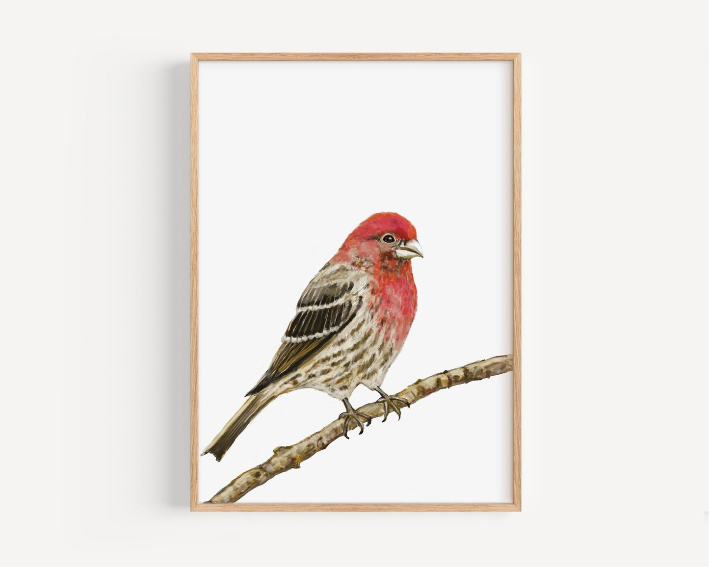 House Finch Wall Art Print – Red Songbird Illustration for Birdwatchers & Nature Decor - MerikaArt