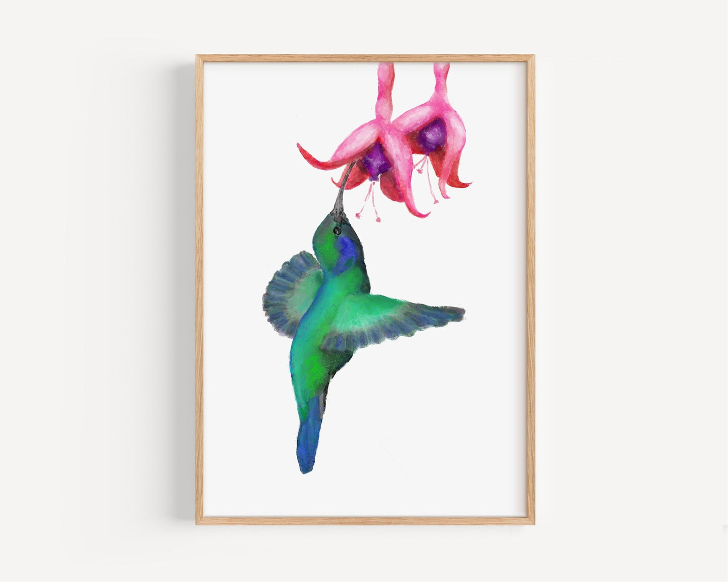 Hummingbird and Fuchsia Flower Art Print - MerikaArt