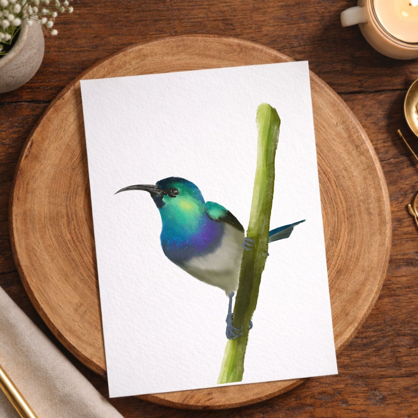 Hummingbird on Branch Postcard - MerikaArt