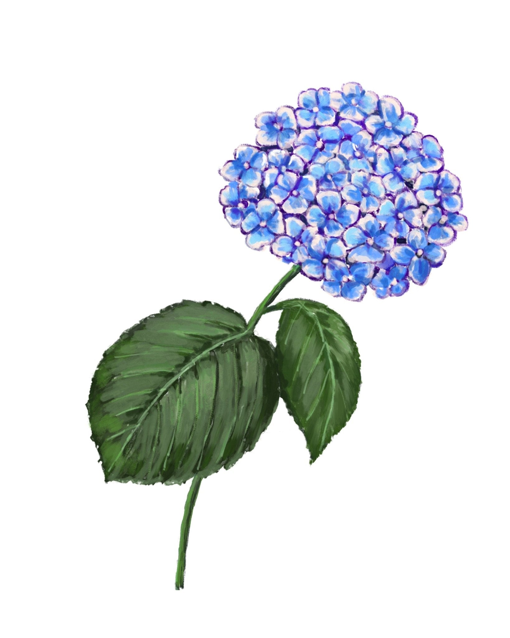 Hydrangea Art Print, Flower Wall Art, Kitchen Wall Hanging, Dining Room Decor, Blue Flower Painting Illustration, Farmhouse Wall Decor - MerikaArt
