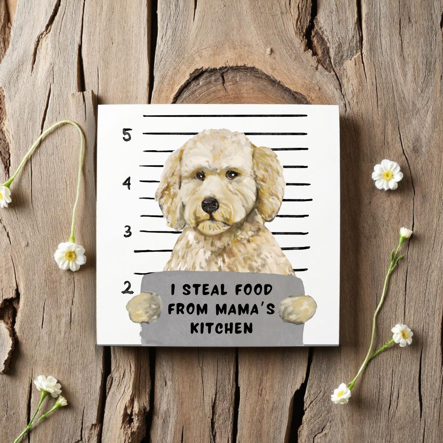Labradoodle Mugshot Ceramic Tile - MerikaArt