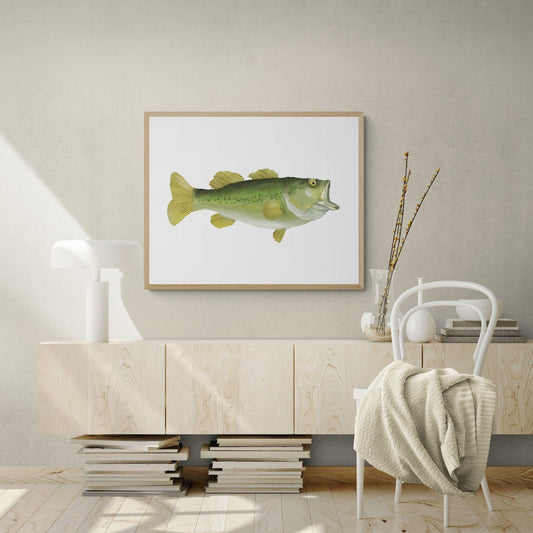 Largemouth Bass Print - MerikaArt