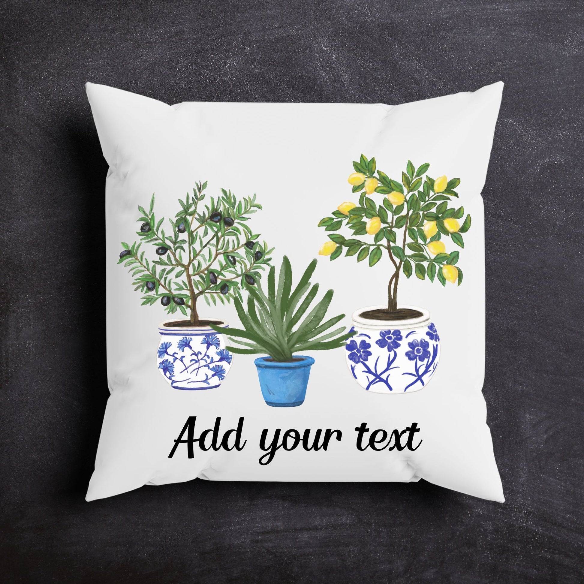 Lemon Olive Aloe Pillow with Blue Pot Planters - MerikaArt