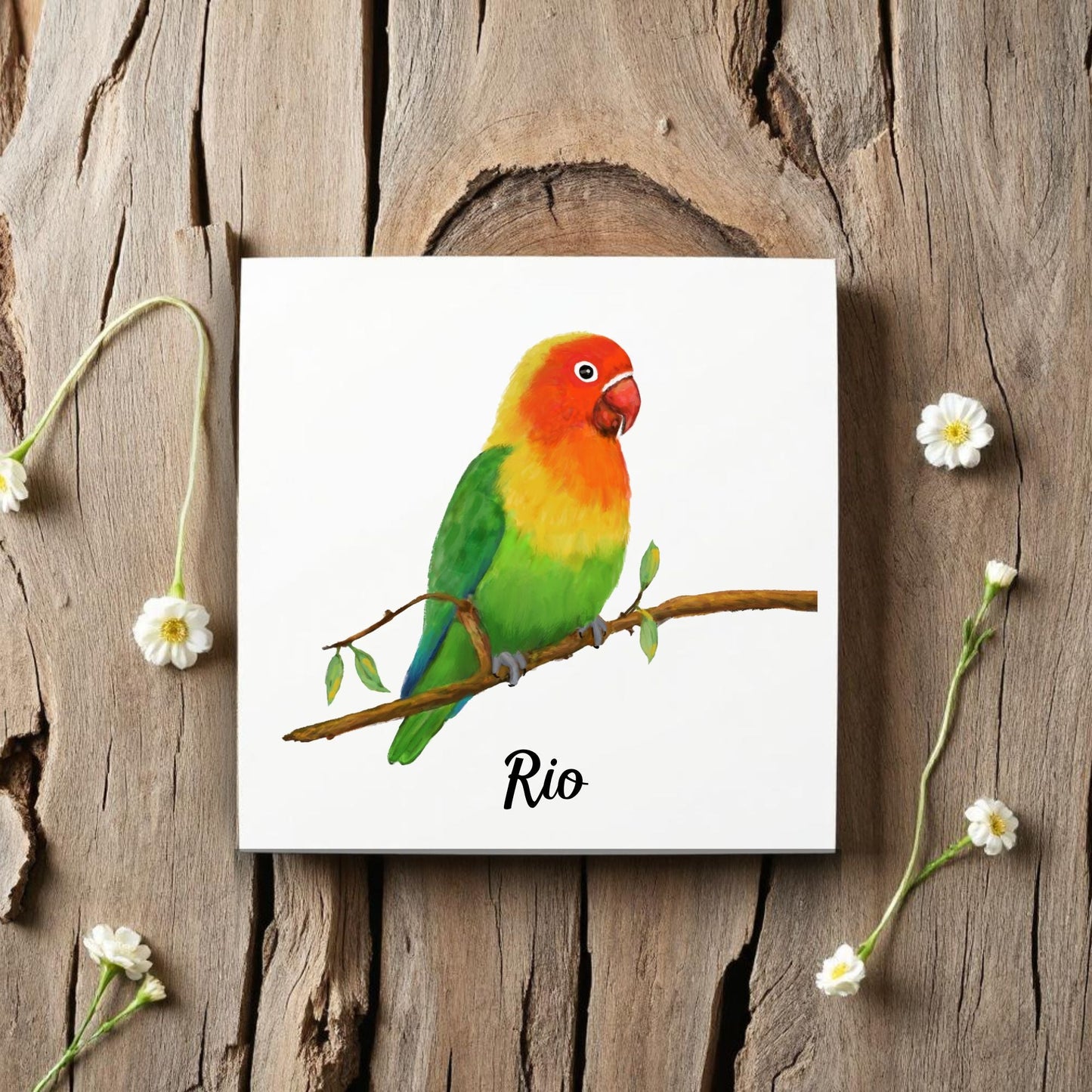 Lovebird Ceramic Tile – Handcrafted Bird Lover Artwork - MerikaArt