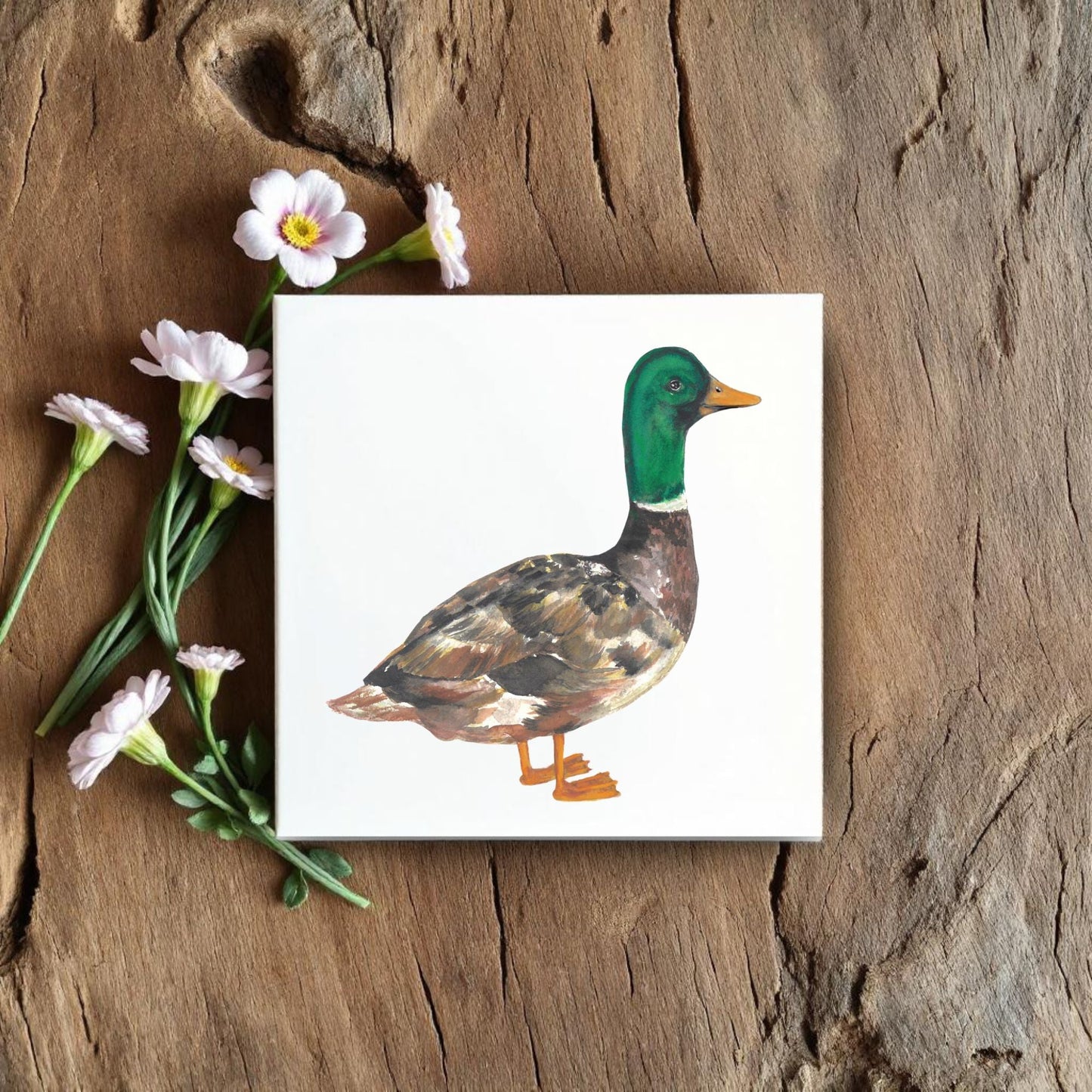 Mallard Duck Ceramic Tile – Handcrafted Bird Lover Artwork - MerikaArt