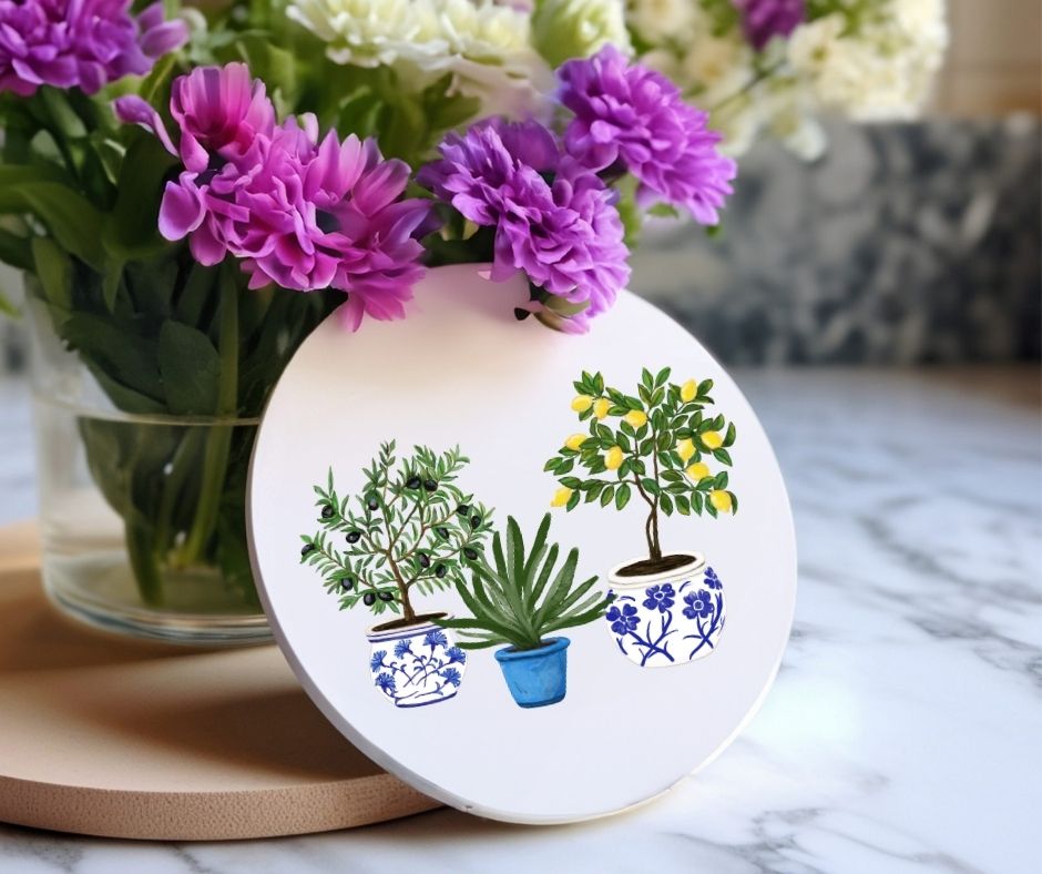 Mediterranean Potted Plants Ceramic Coaster - MerikaArt