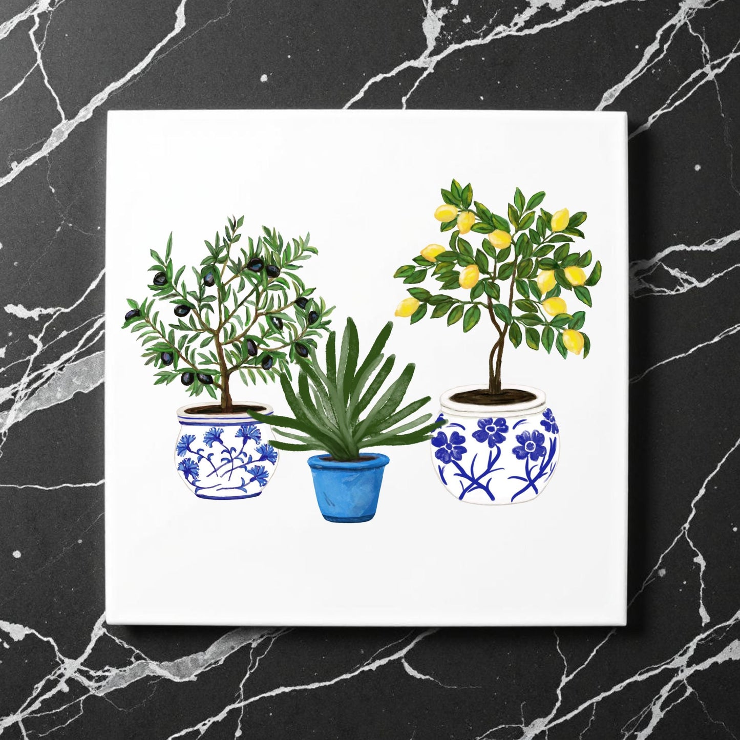 Mediterranean Potted Plants Ceramic Tile - MerikaArt