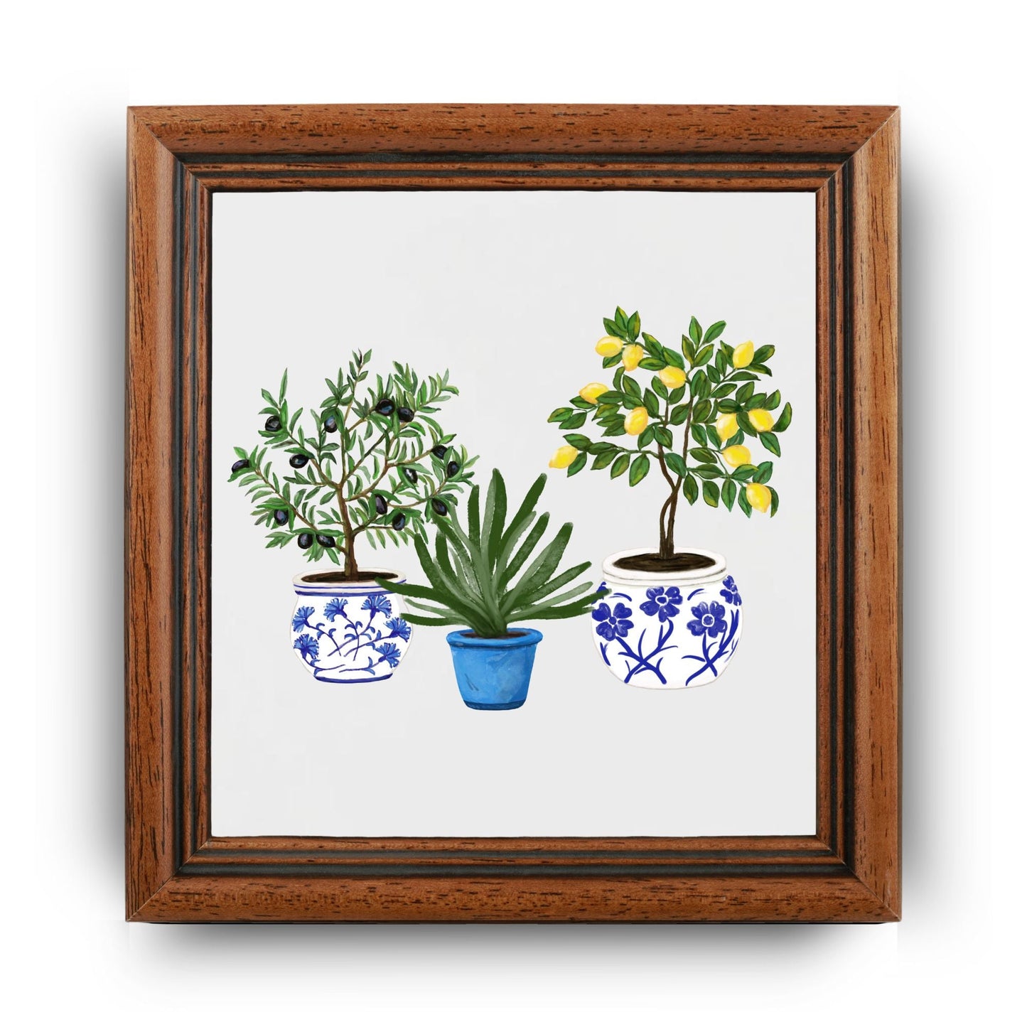 Mediterranean Potted Plants Ceramic Tile - MerikaArt