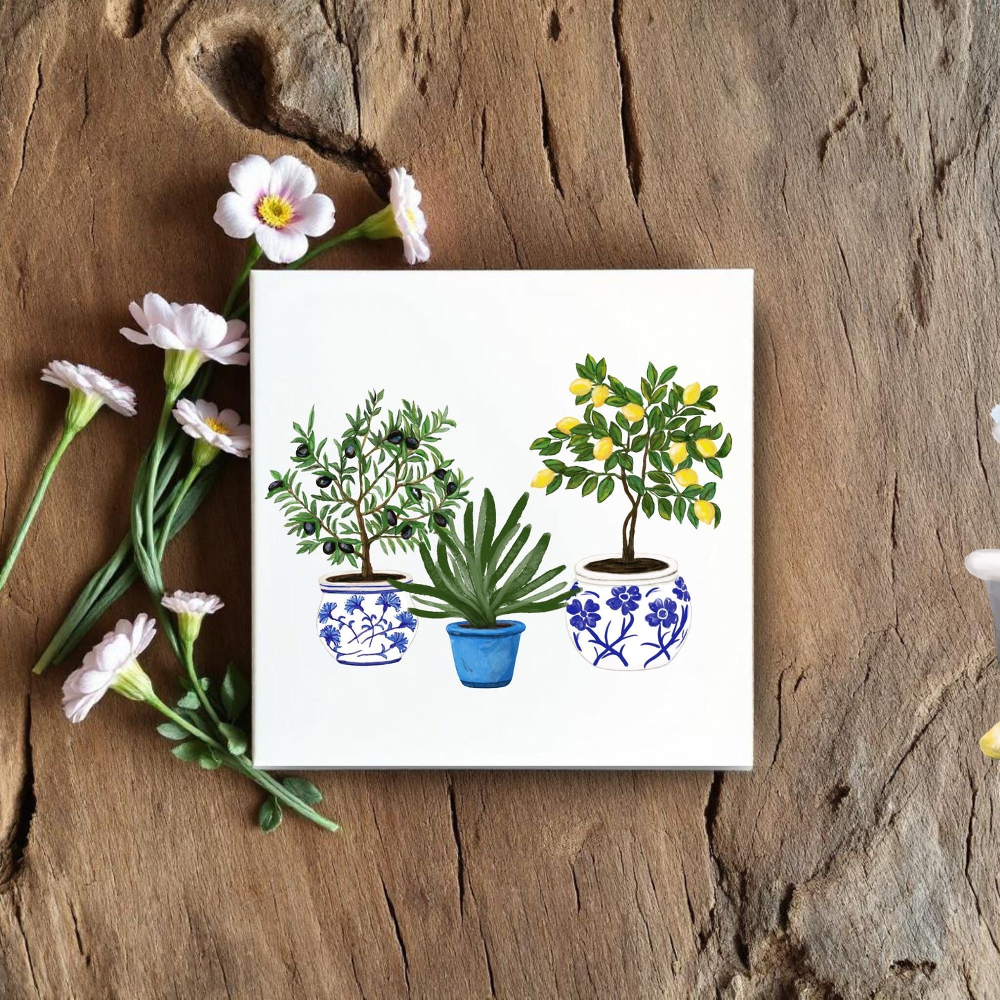 Mediterranean Potted Plants Ceramic Tile - MerikaArt