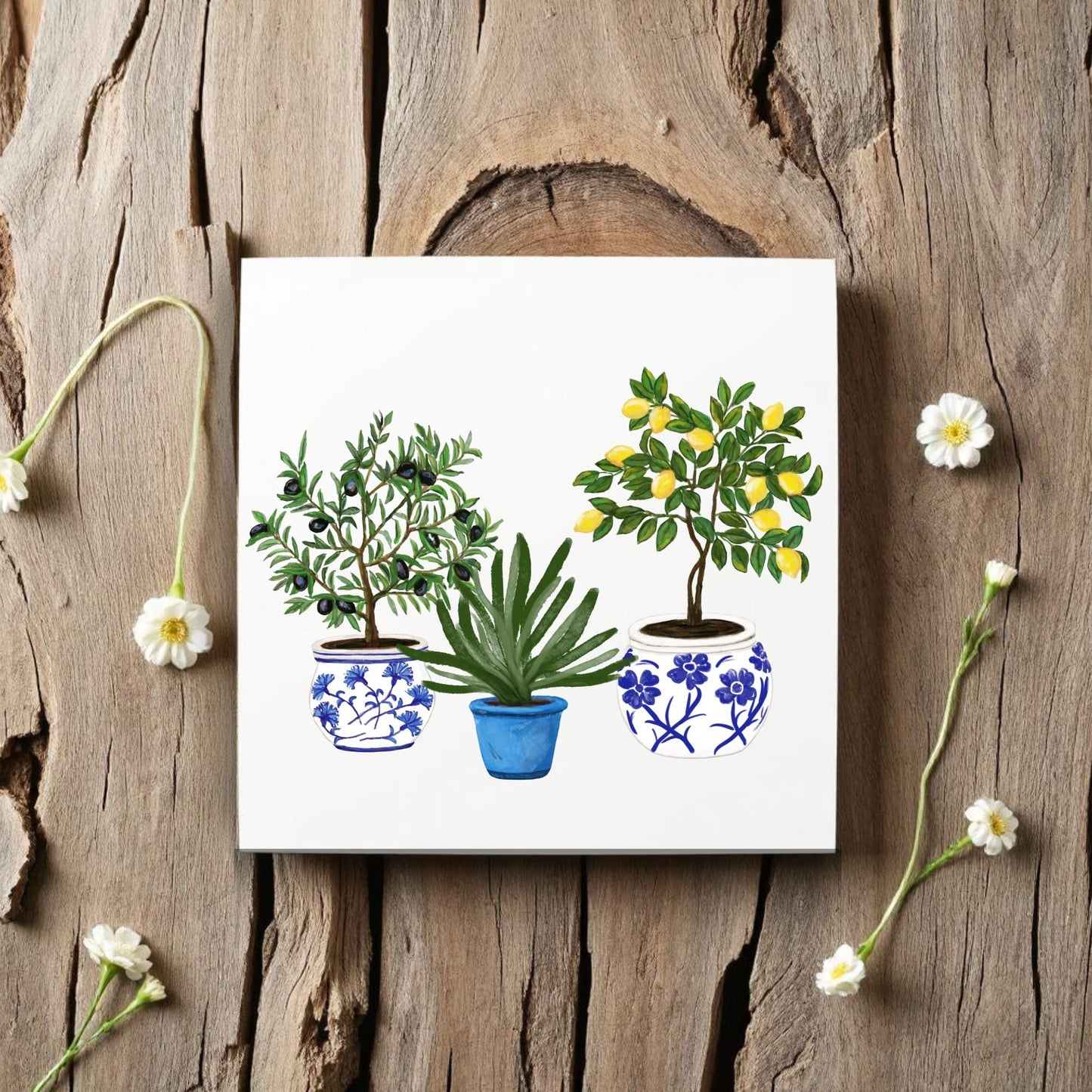 Mediterranean Potted Plants Ceramic Tile - MerikaArt