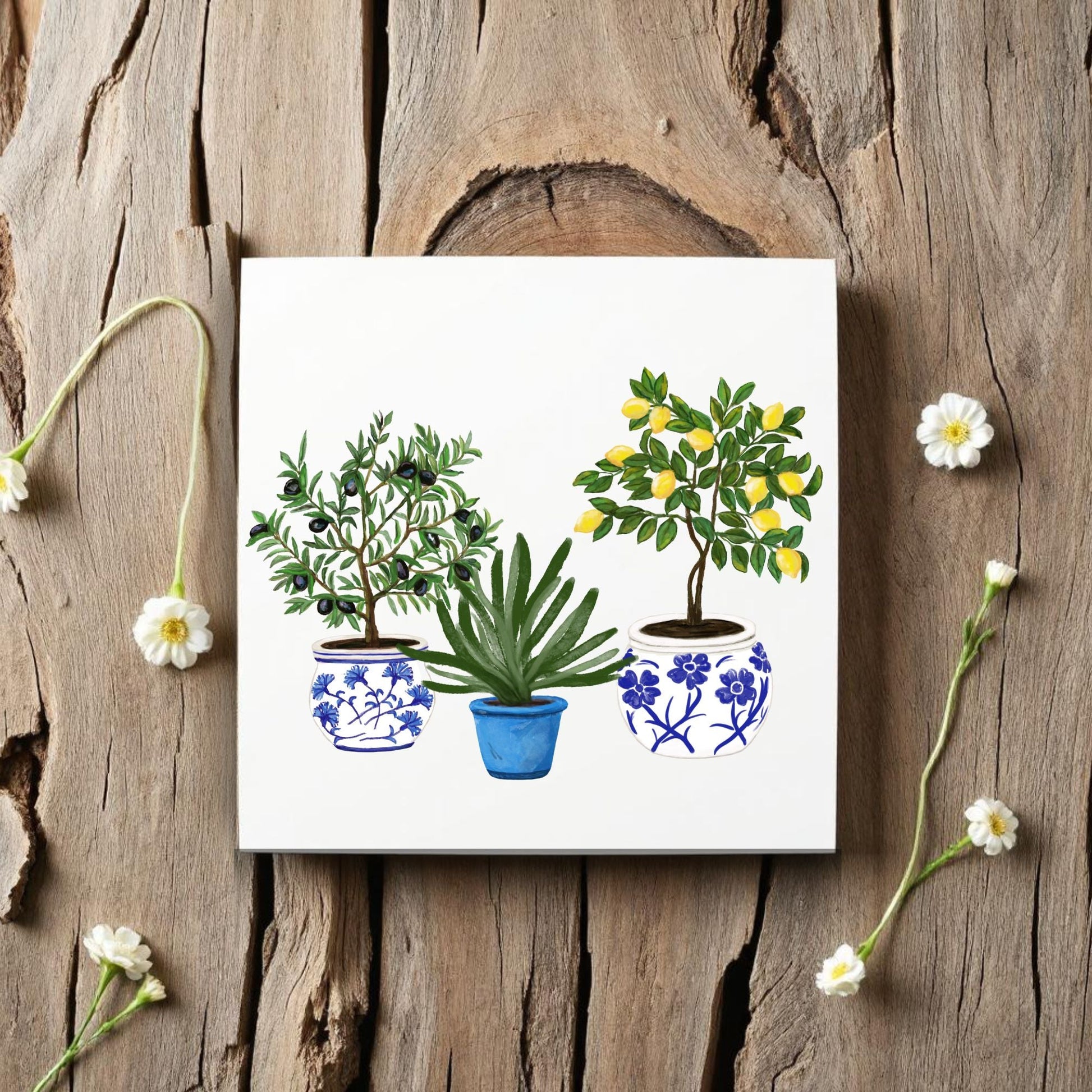 Mediterranean Potted Plants Ceramic Tile - MerikaArt