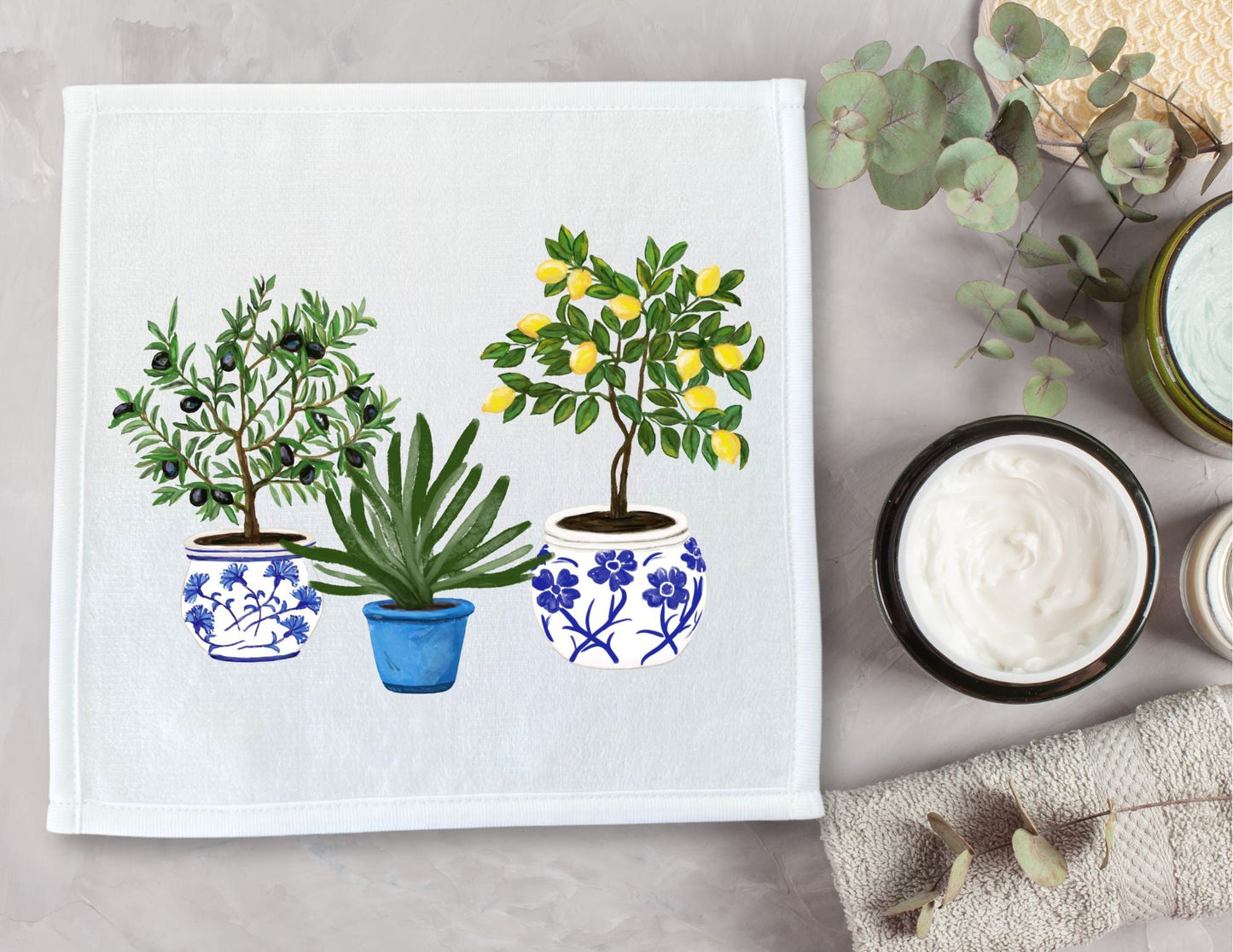 Mediterranean Potted Plants Washcloth - MerikaArt