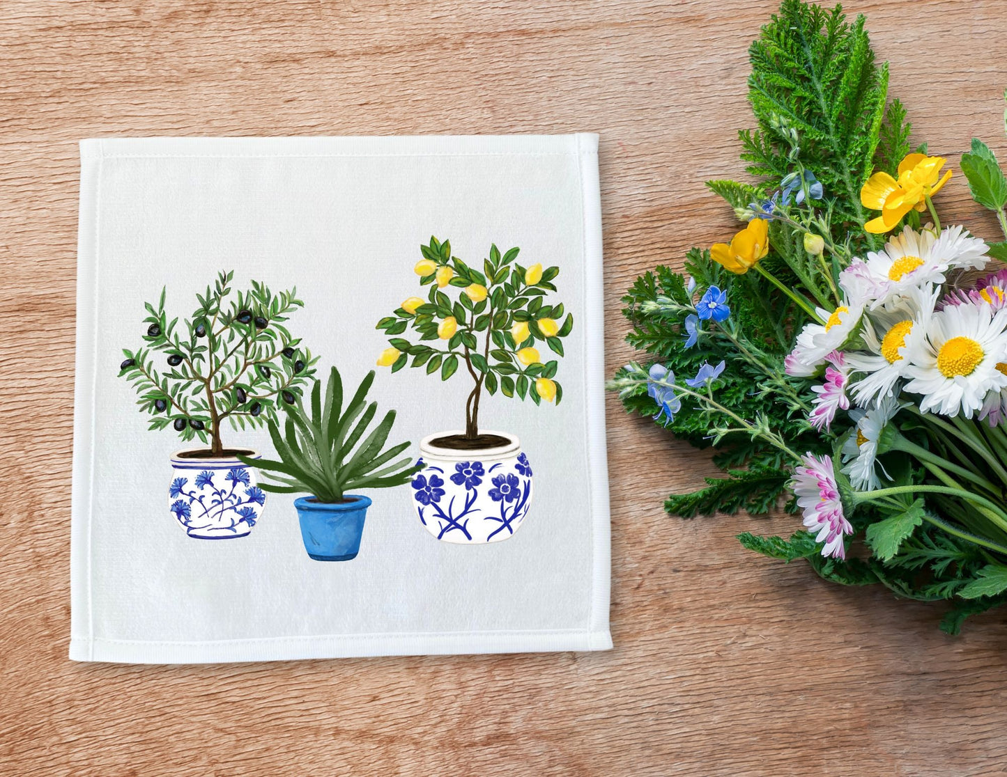 Mediterranean Potted Plants Washcloth - MerikaArt