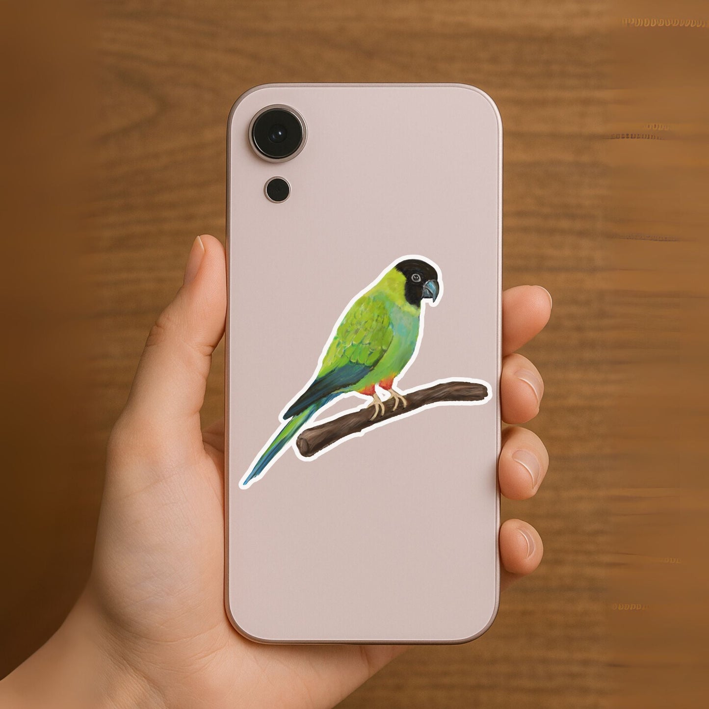 Nanday Conure Vinyl Sticker - MerikaArt