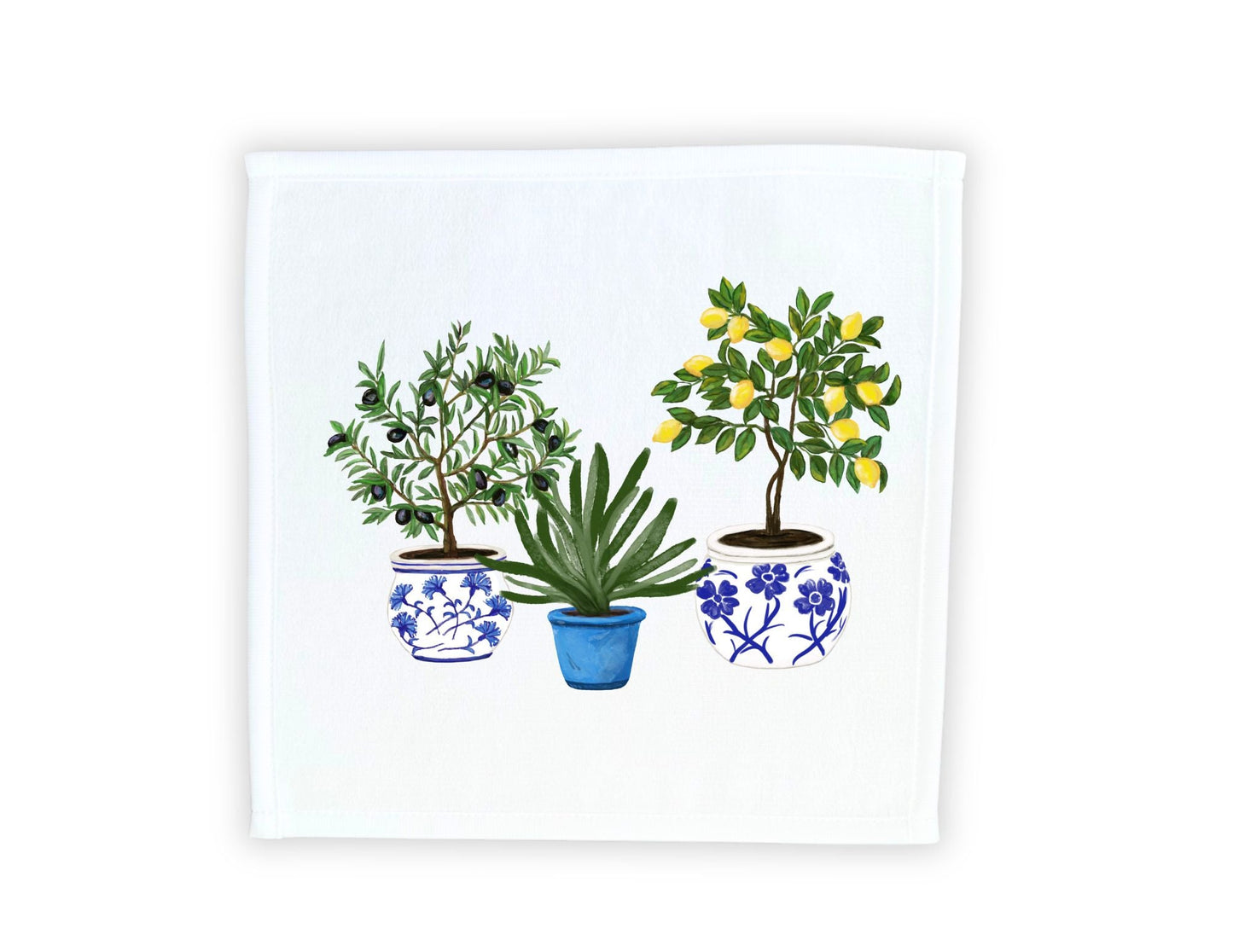 Olive Lemon Aloe Plant Washcloth - MerikaArt