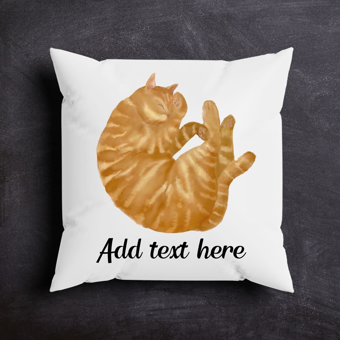 Orange Sleeping Cat Pillow - MerikaArt
