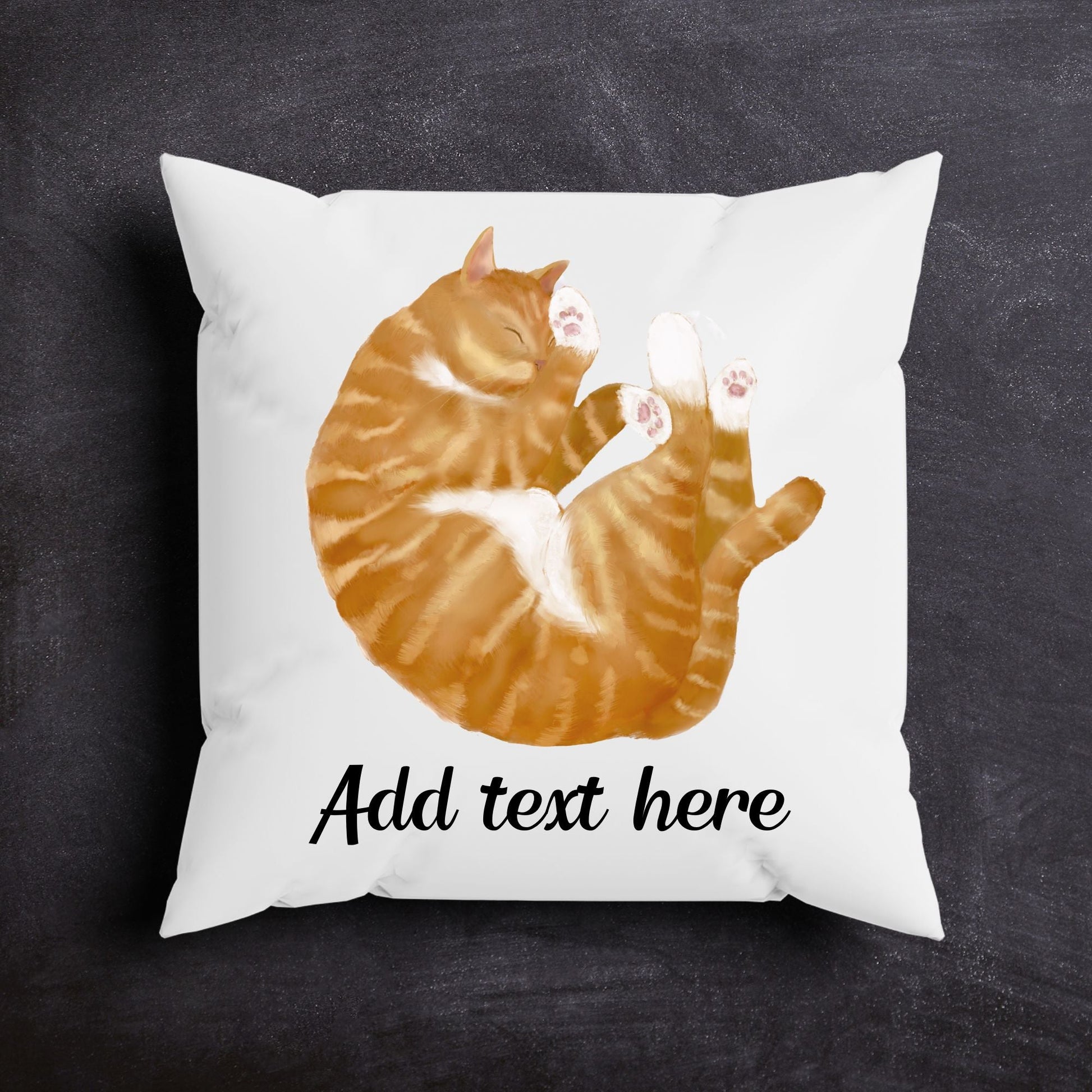 Orange Sleeping Cat Pillow - MerikaArt