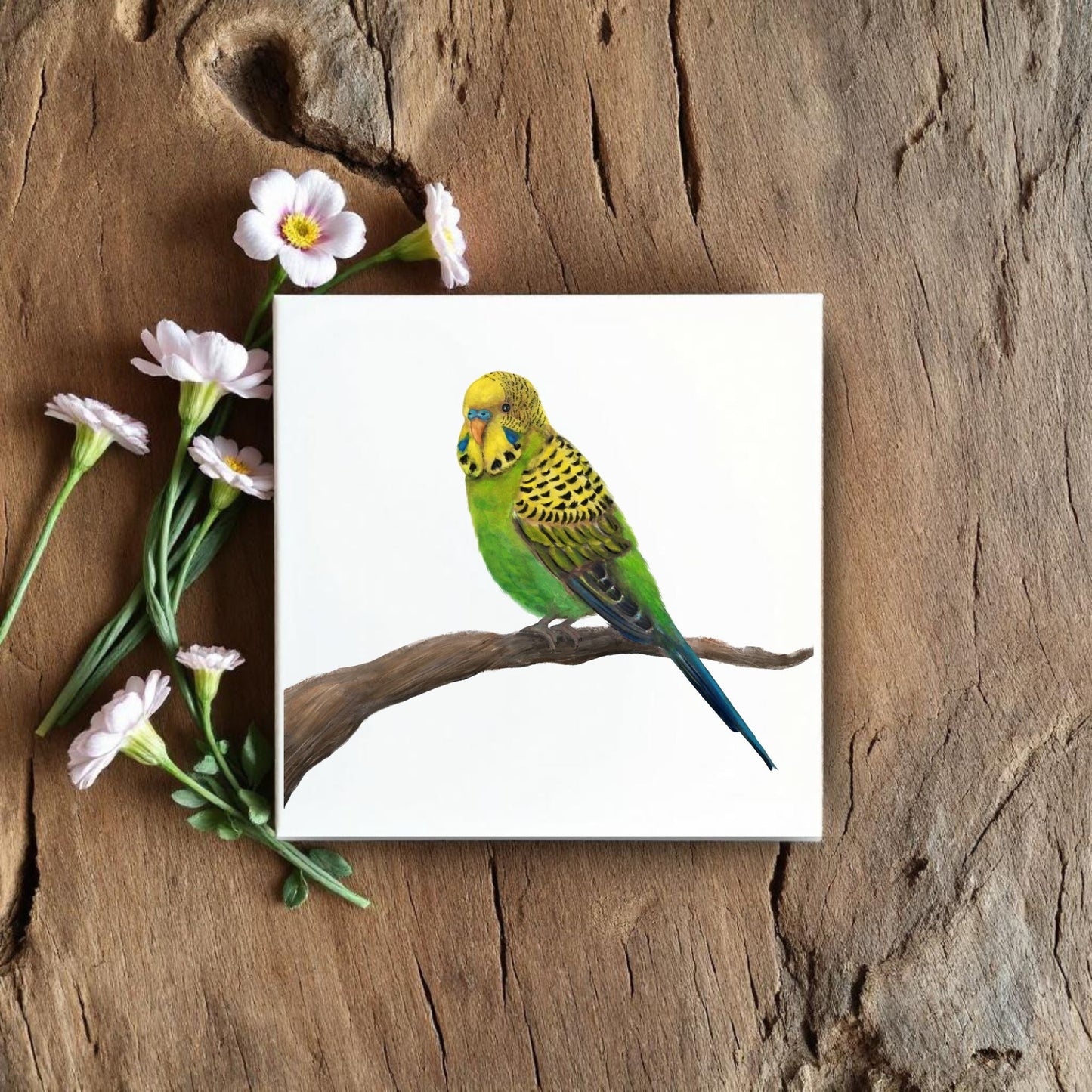 Perched Green Budgerigar Ceramic Tile – Handcrafted Bird Artwork - MerikaArt