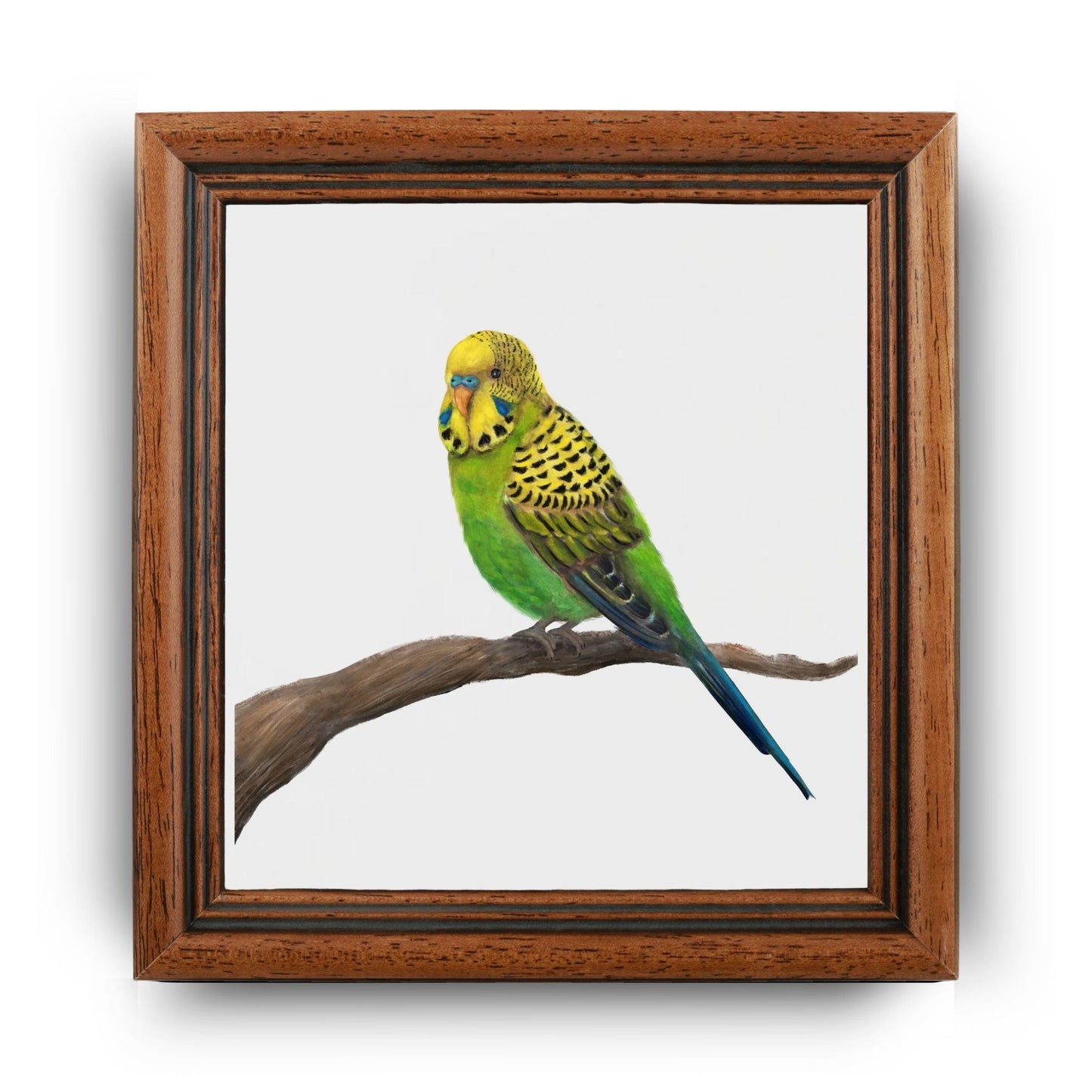 Perched Green Budgerigar Ceramic Tile – Handcrafted Bird Artwork - MerikaArt