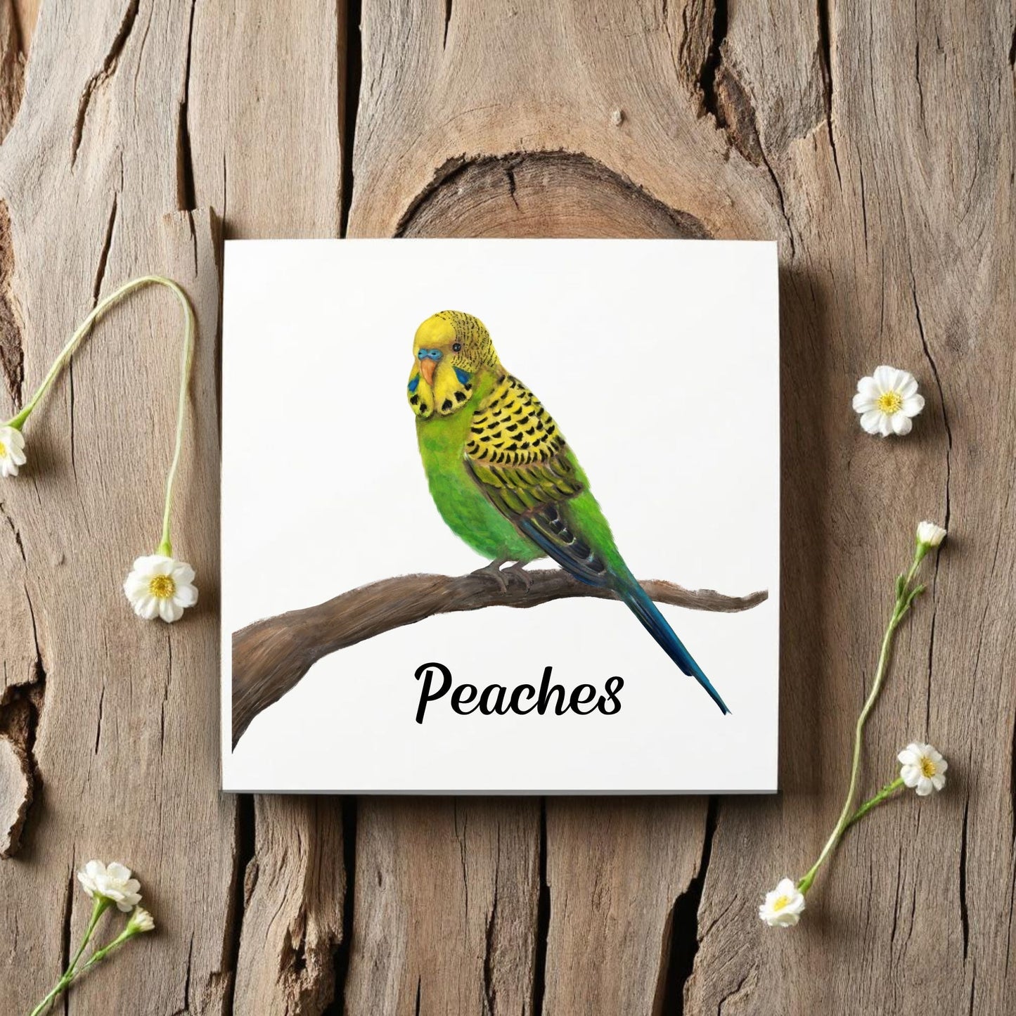 Perched Green Budgerigar Ceramic Tile – Handcrafted Bird Artwork - MerikaArt