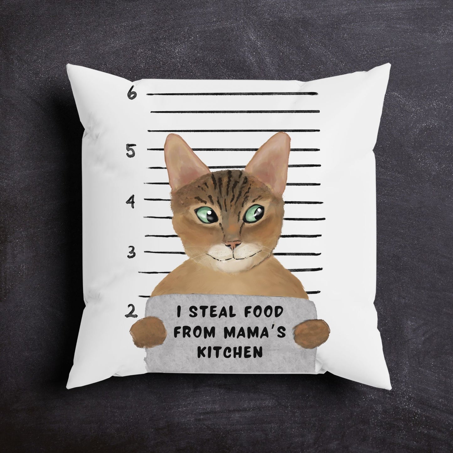 Personalized Abyssinian Cat Pillow - MerikaArt
