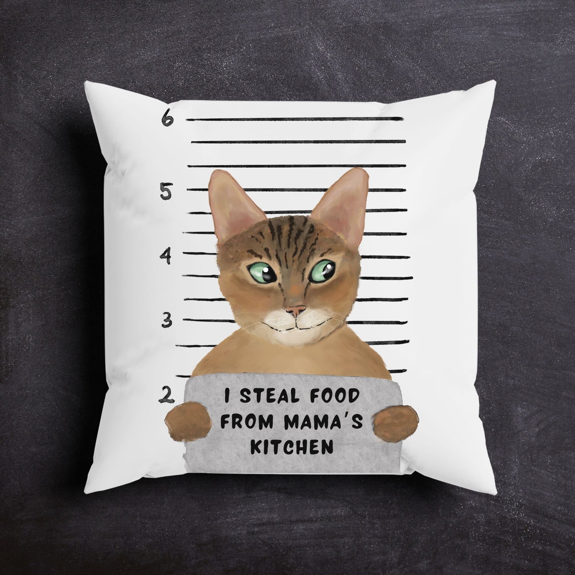 Personalized Abyssinian Cat Pillow - MerikaArt