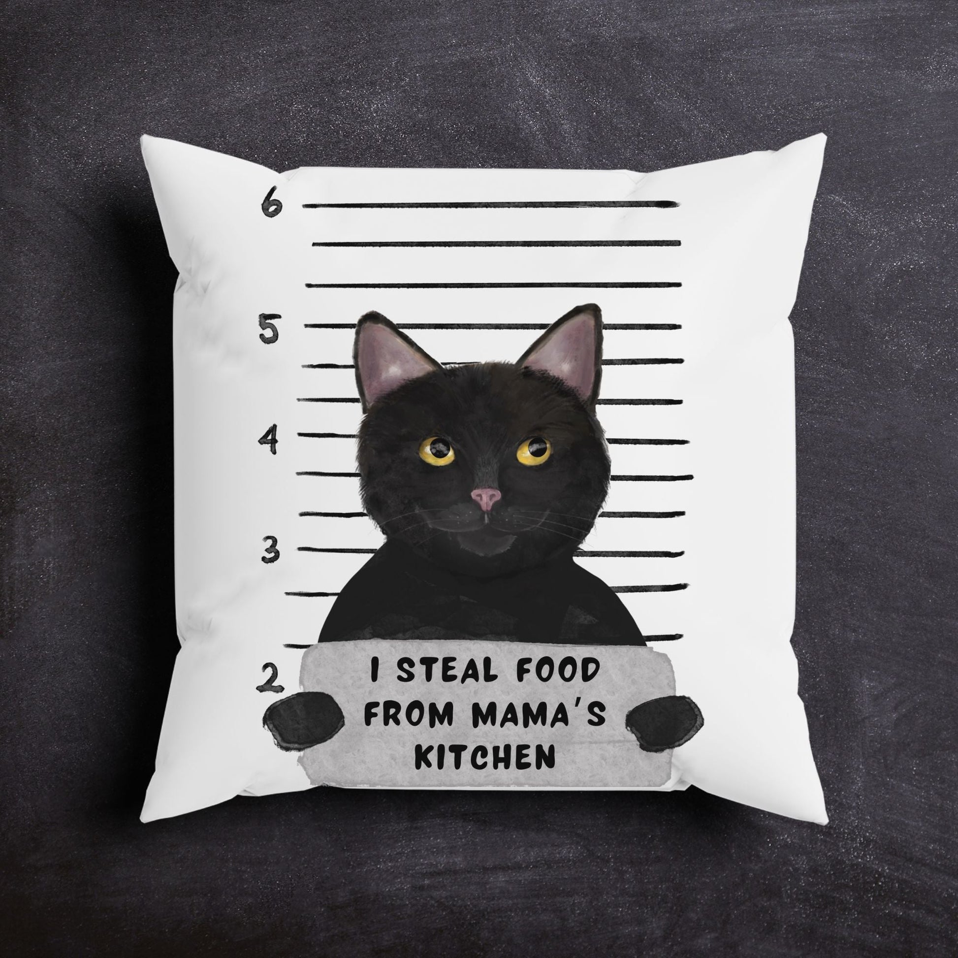 Personalized Black Cat Pillow - MerikaArt
