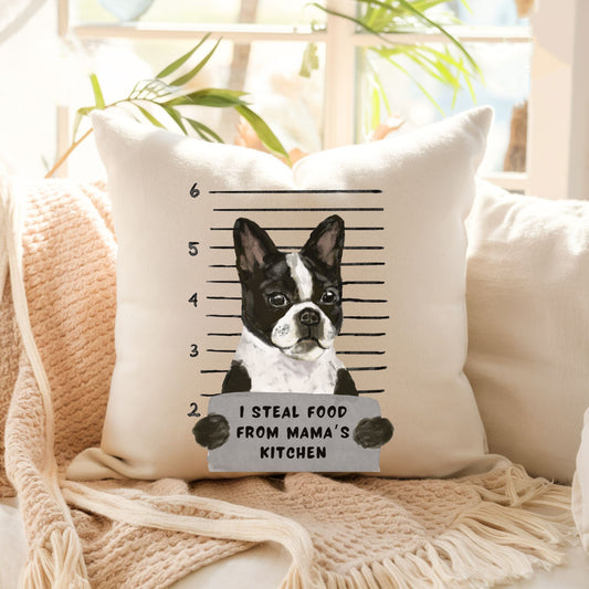 Personalized Boston Terrier Pillow - MerikaArt