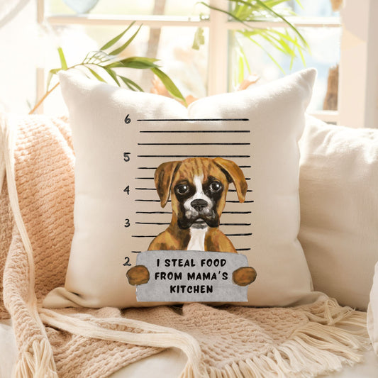 Personalized Boxer Pillow - MerikaArt
