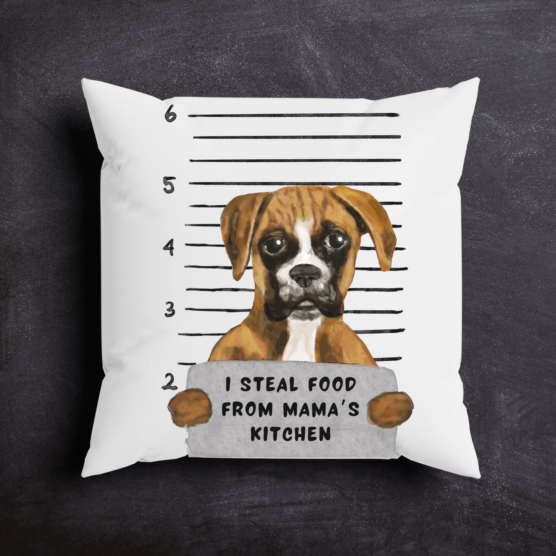 Personalized Boxer Pillow - MerikaArt