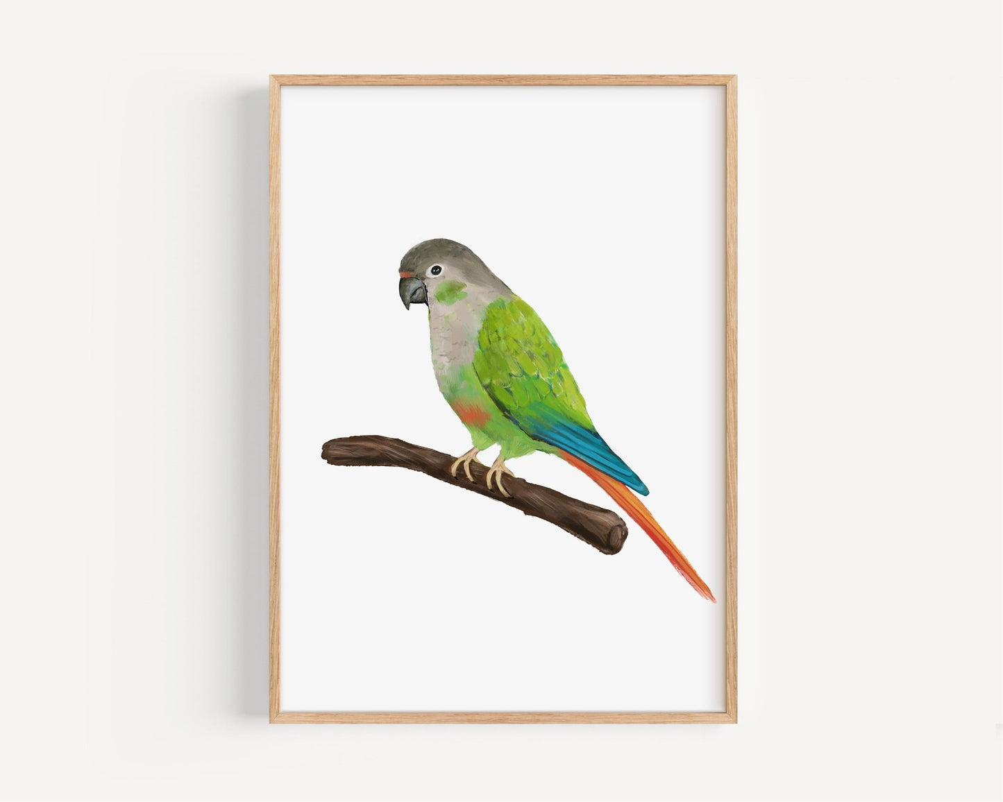 Personalized Green Cheek Conure Wall Art Print – Colorful Parrot Bird Illustration for Bird Lovers - MerikaArt