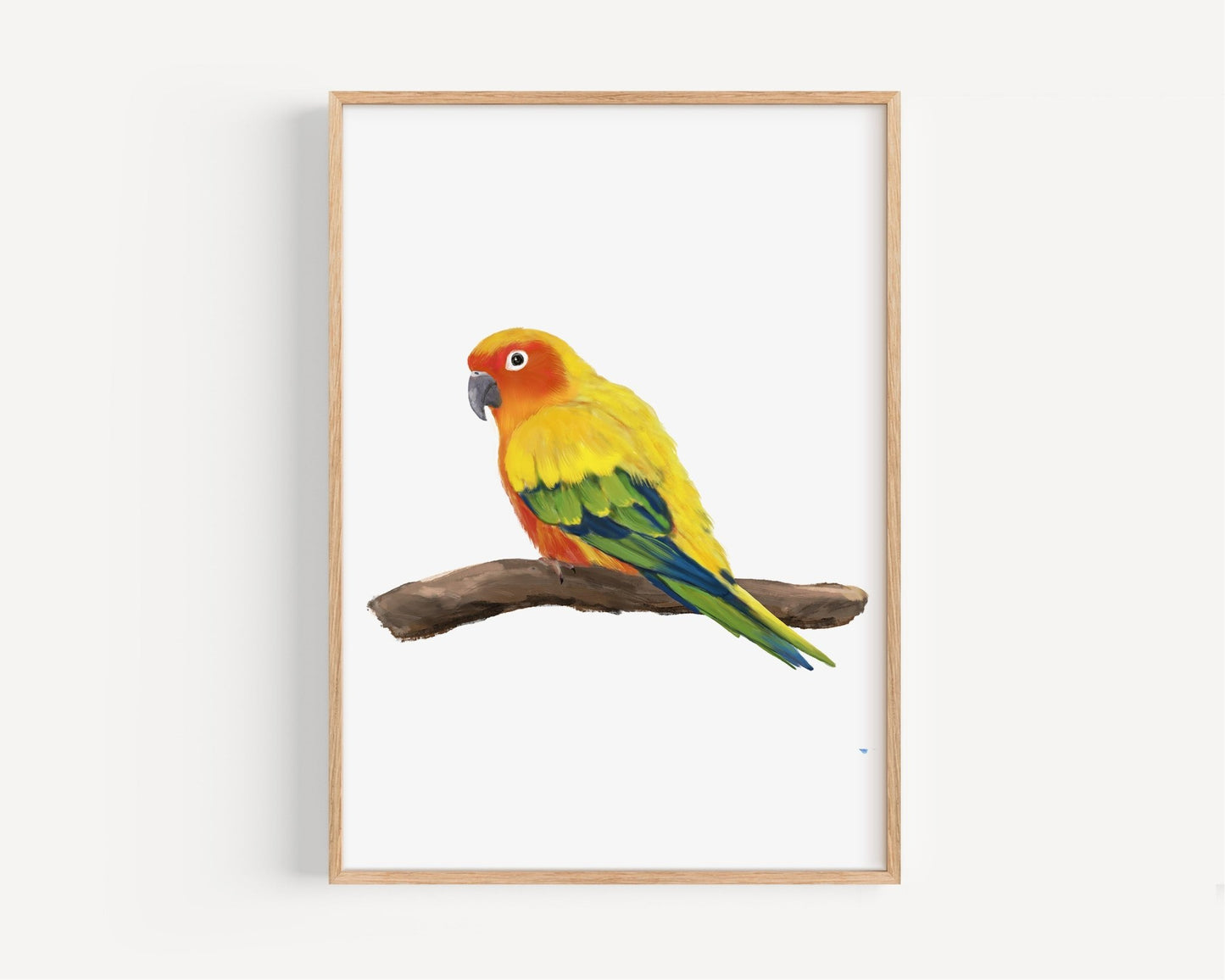 Personalized Sun Conure Wall Art Print – Sun Parakeet Parrot Illustration for Bird Lovers - MerikaArt