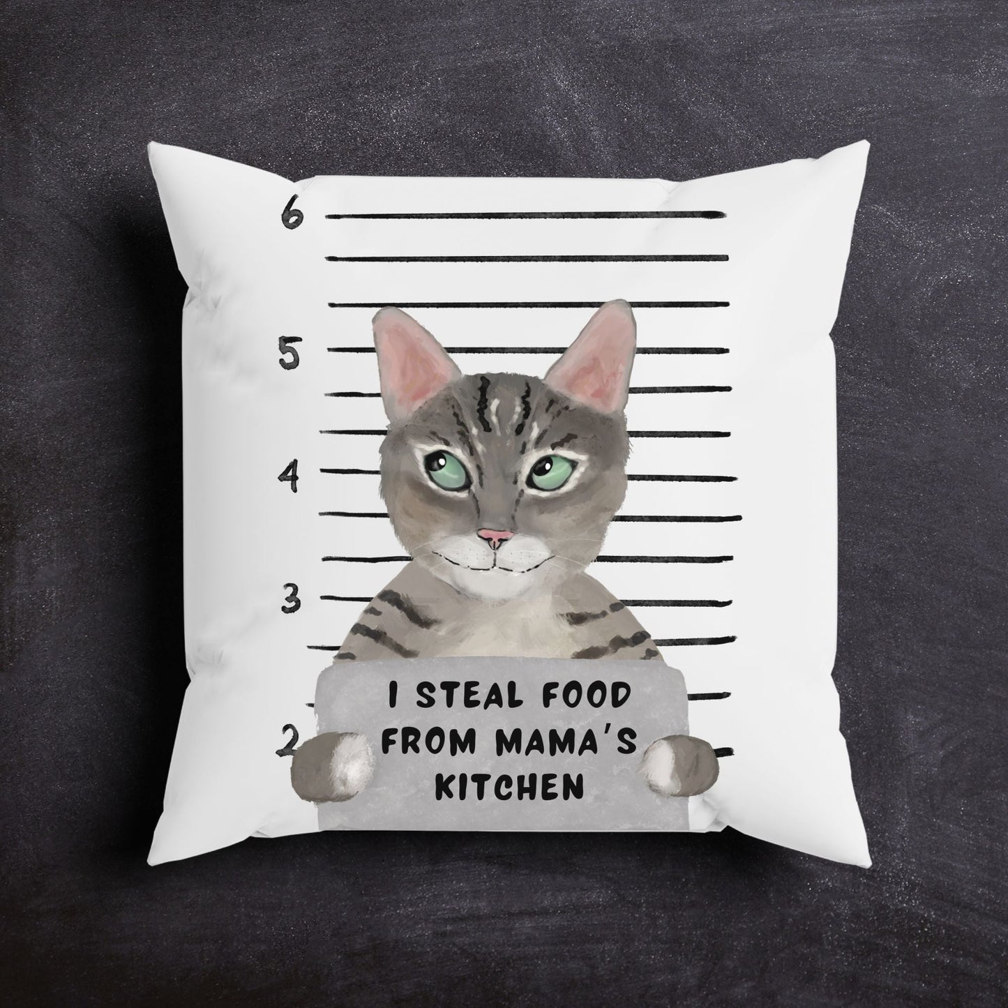 Personalized Tabby Cat Pillow - MerikaArt